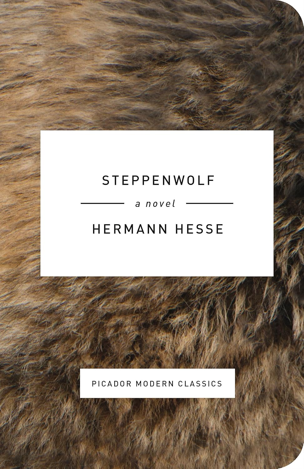 steppenwolf book cover